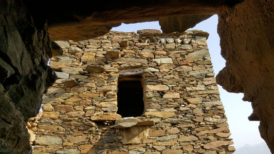 Taif Essence: One-Day Arabian Adventure