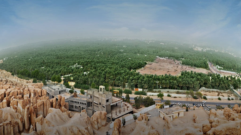 Al-Ahsa Oasis Soul